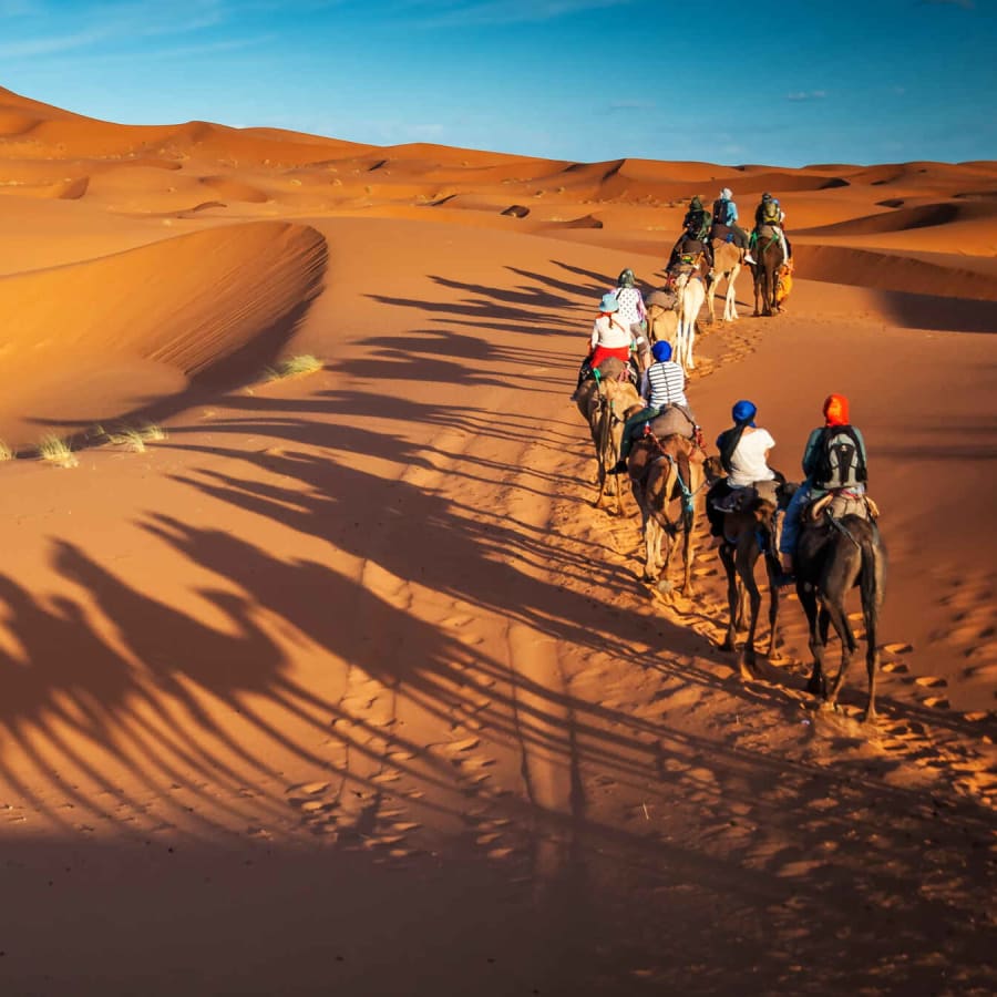 2-Day Zagora Desert Tour from Marrakech with Camel Camp Stay
