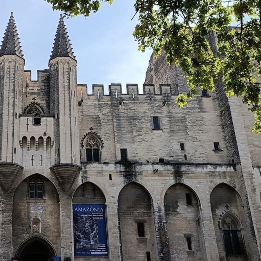 8-Hour Avignon and Chateauneuf du Pape Wine Tour from Aix-en-Provence