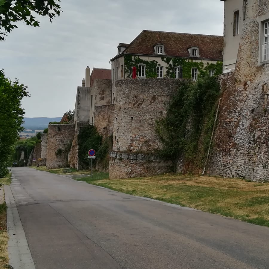 Full-Day Burgundy Archaeology Tour with a Choice of Ancient Sites