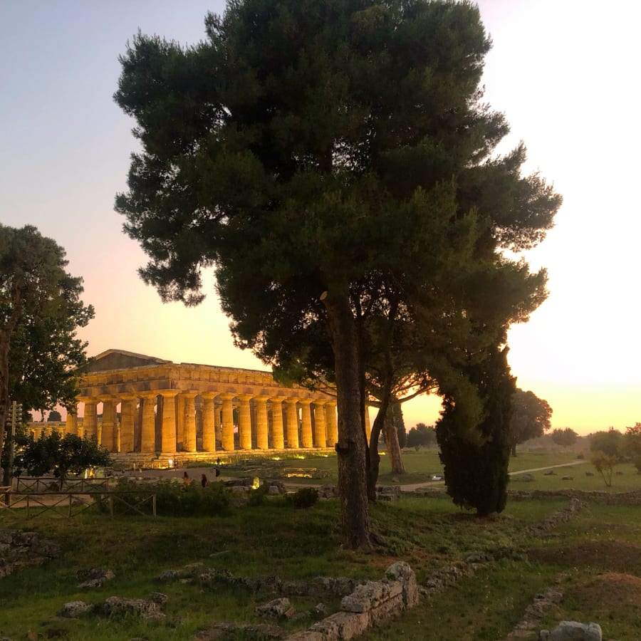 2-Hour Walking Tour of Paestum with Archaeological Park and Museum