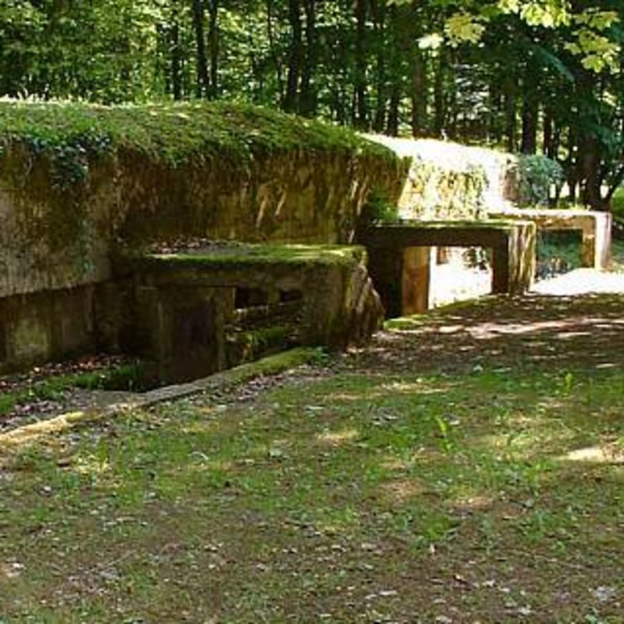 Full-Day Verdun Battlefield Tour with Major WWI Memorials