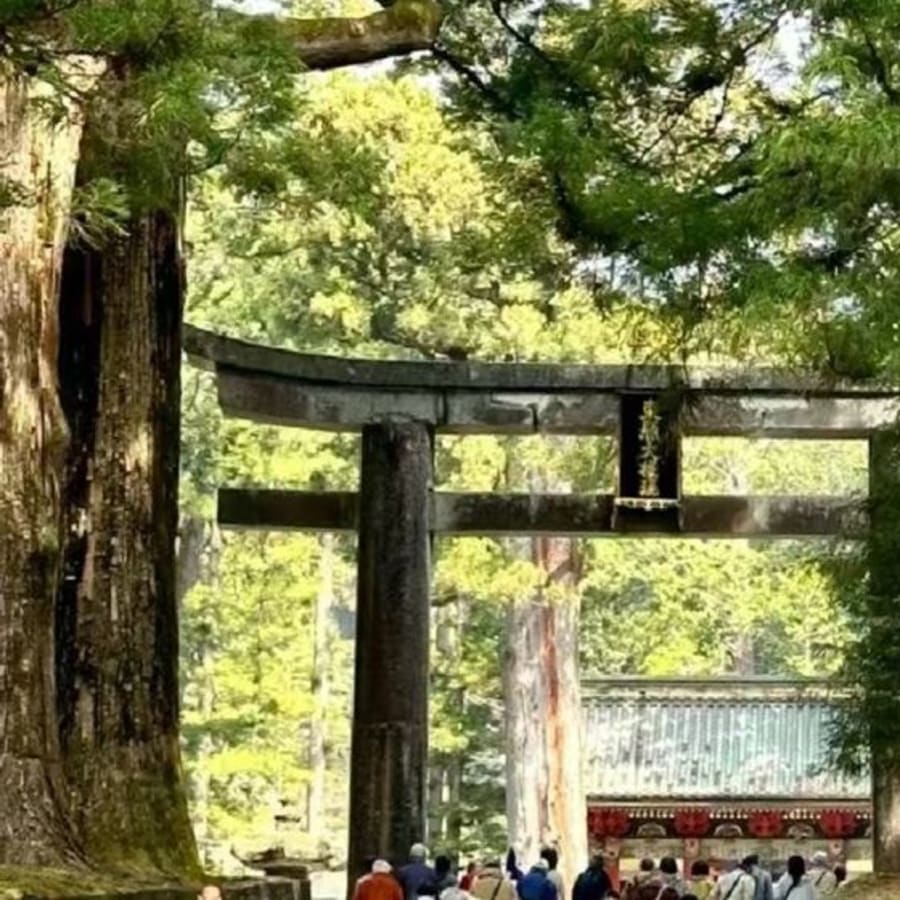 10-Hour Nikko Cultural and Natural Wonders Tour from Tokyo