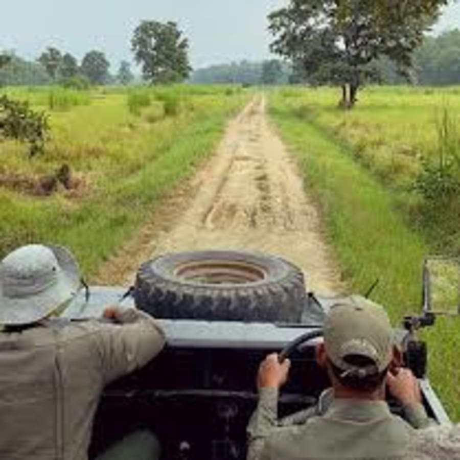 2-Day Bardia Wilderness Experience with Overnight Treehouse Stay