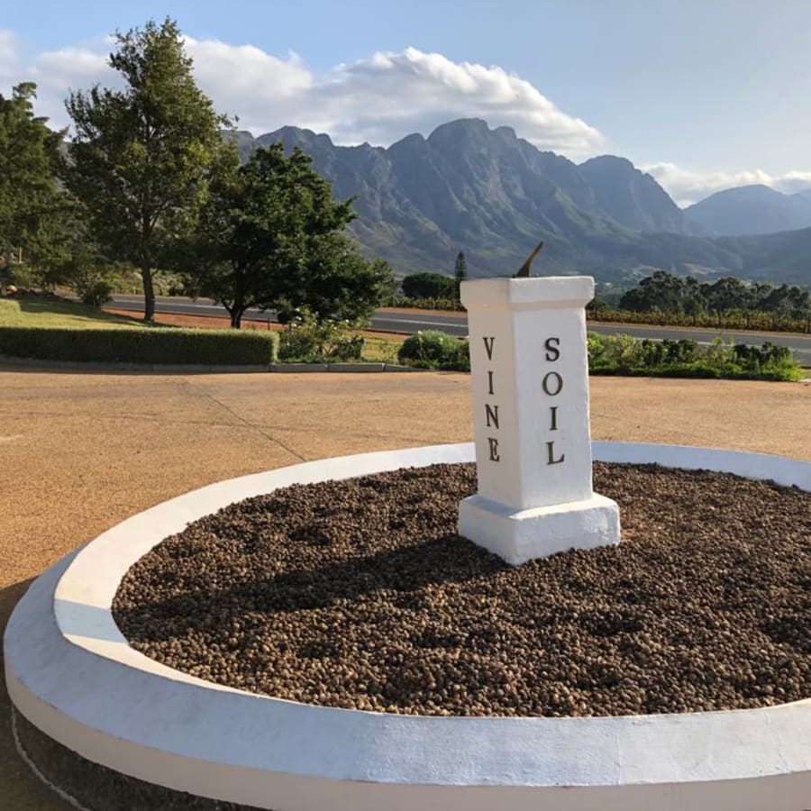 8-Hour Cape Winelands Wine Tour with 3 Estate Tastings and Lunch