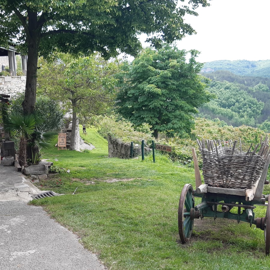 8-Hour Hidden Istria Tour to Beram, Buzet and Hum