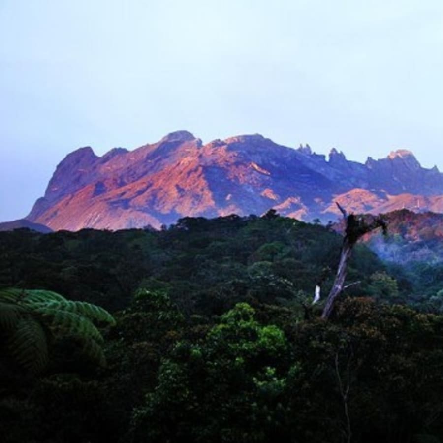 10-Hour Kinabalu Park and Poring Hot Springs Tour with Canopy Walk