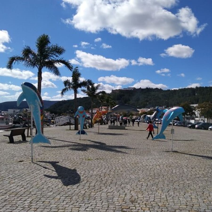 3-Hour Private Walking Tour of Setúbal with Market and Museum