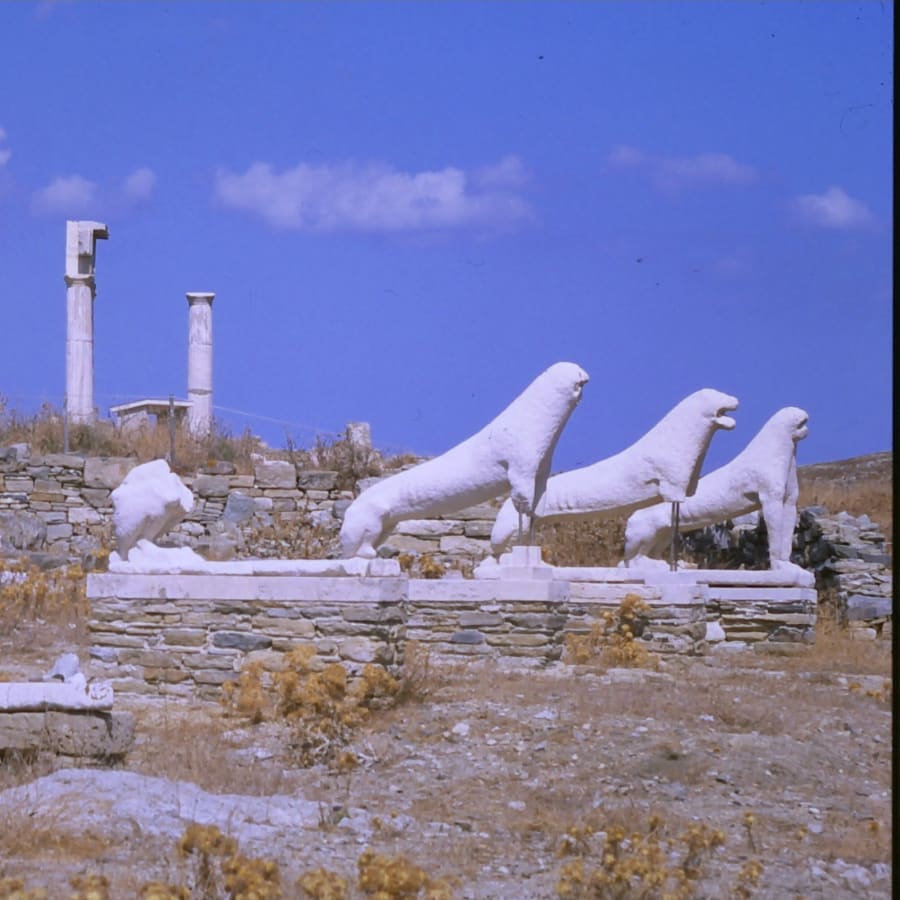 4-Hour Delos Island History Tour from Mykonos with Apollo's Sanctuary