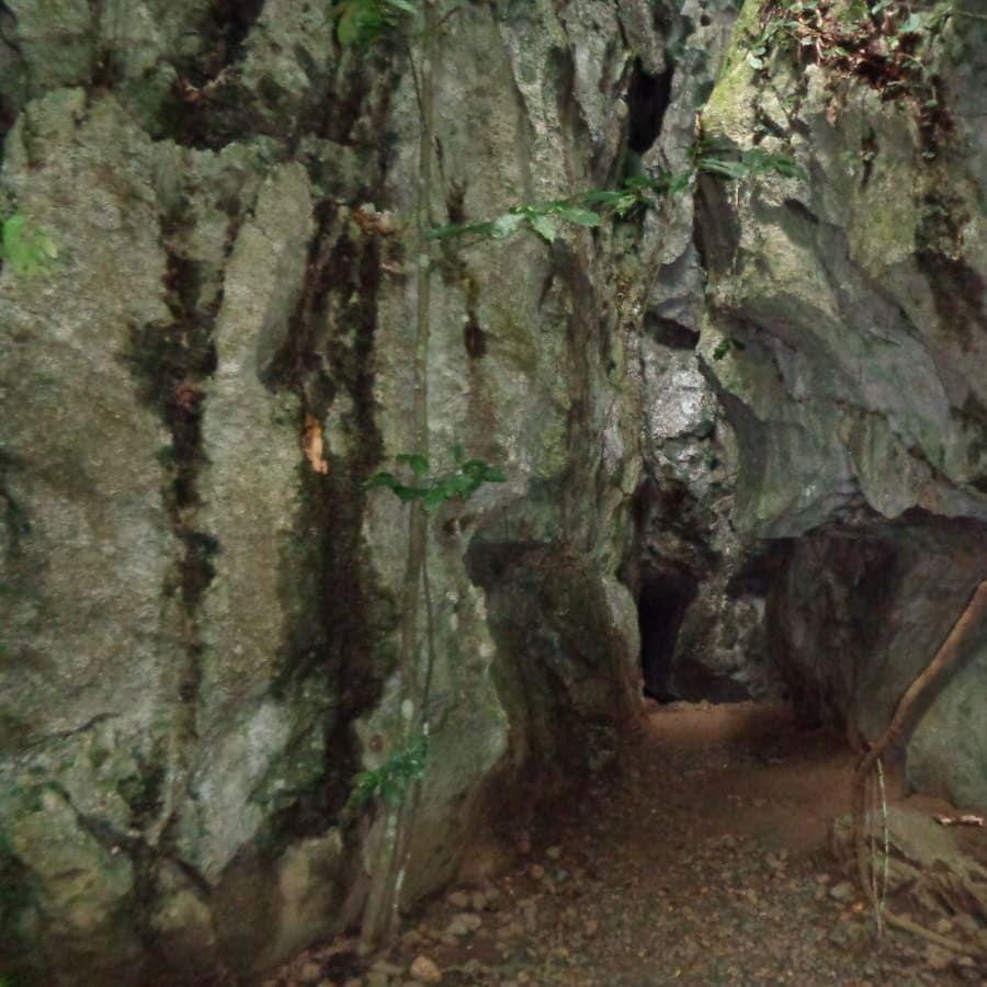 8-Hour Underground River and Ugong Rock Zipline Tour in Puerto Princesa