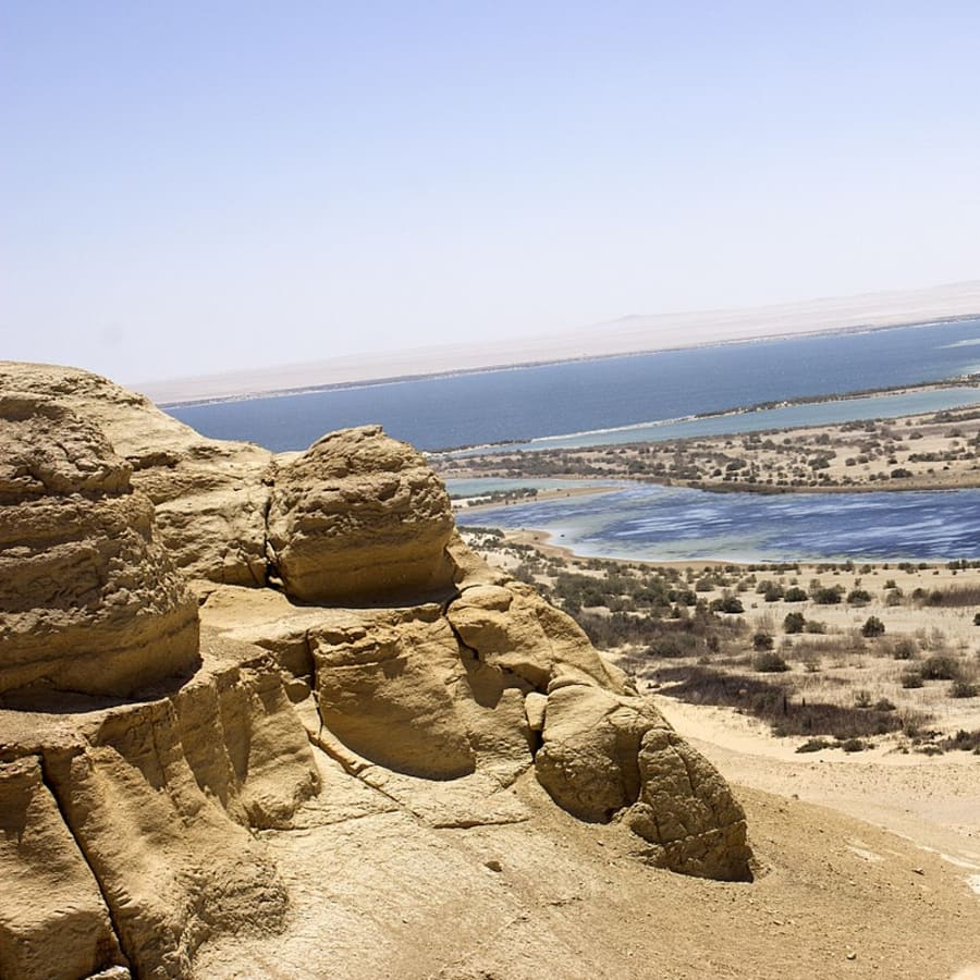 Full-Day El Fayoum Tour from Cairo with Wadi El Hitan and Sandboarding