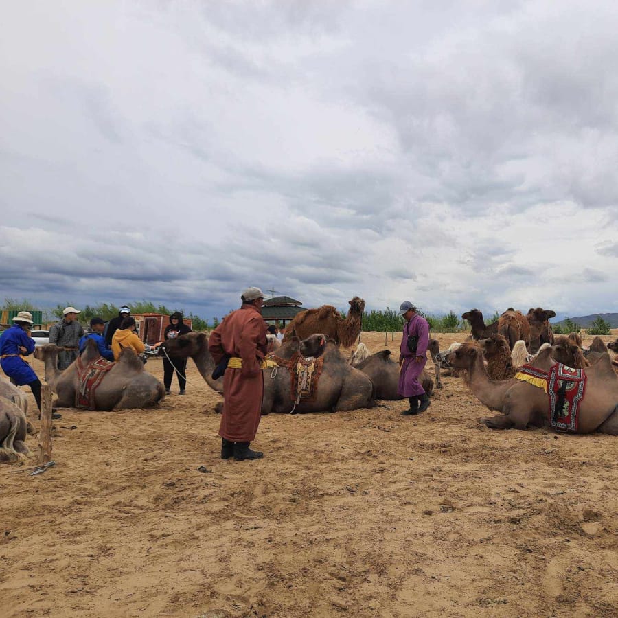 13-Day Mongolia Gobi, Khangai and Khövsgöl Lake Adventure