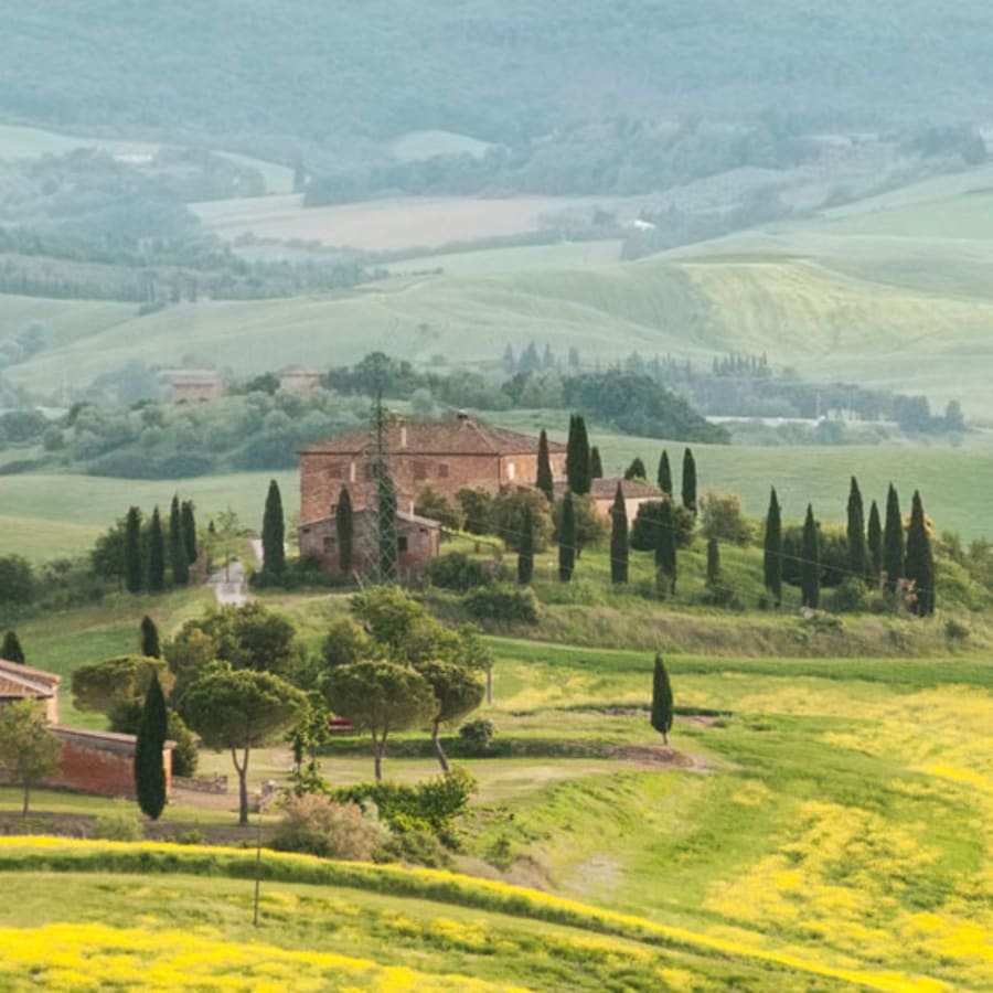 7-Hour Montalcino Wine Tour through Val d'Orcia and Pienza