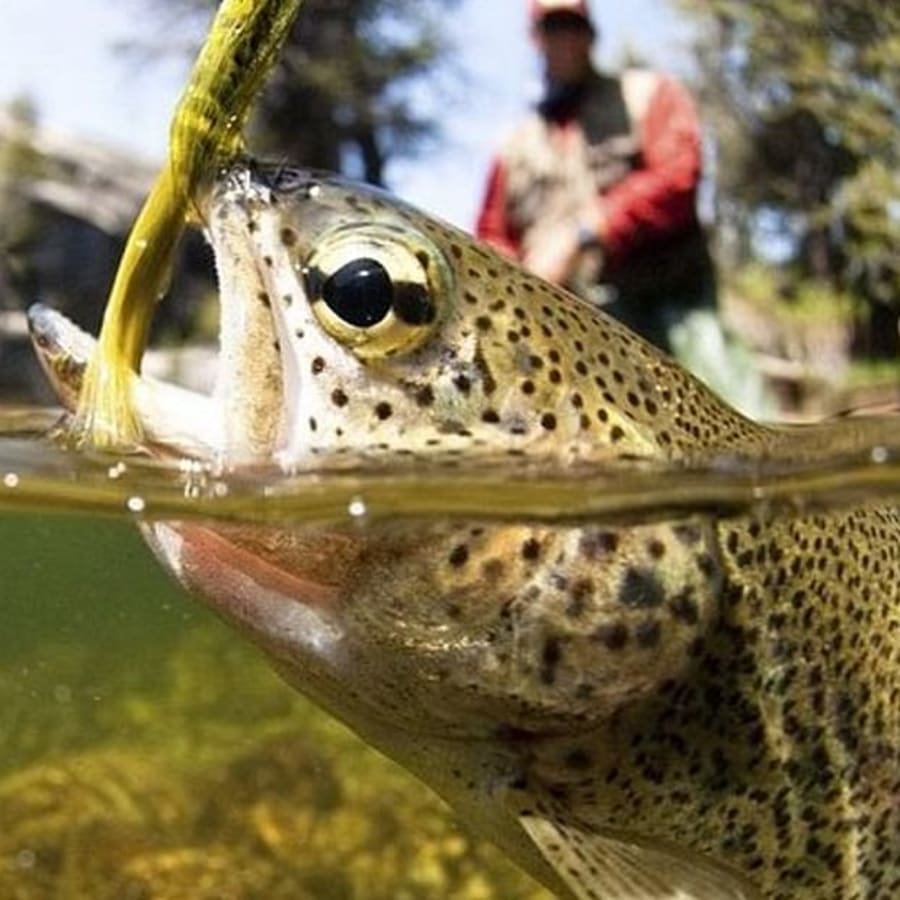 4-Hour Arctic Fishing Tour in Rovaniemi with Campfire BBQ