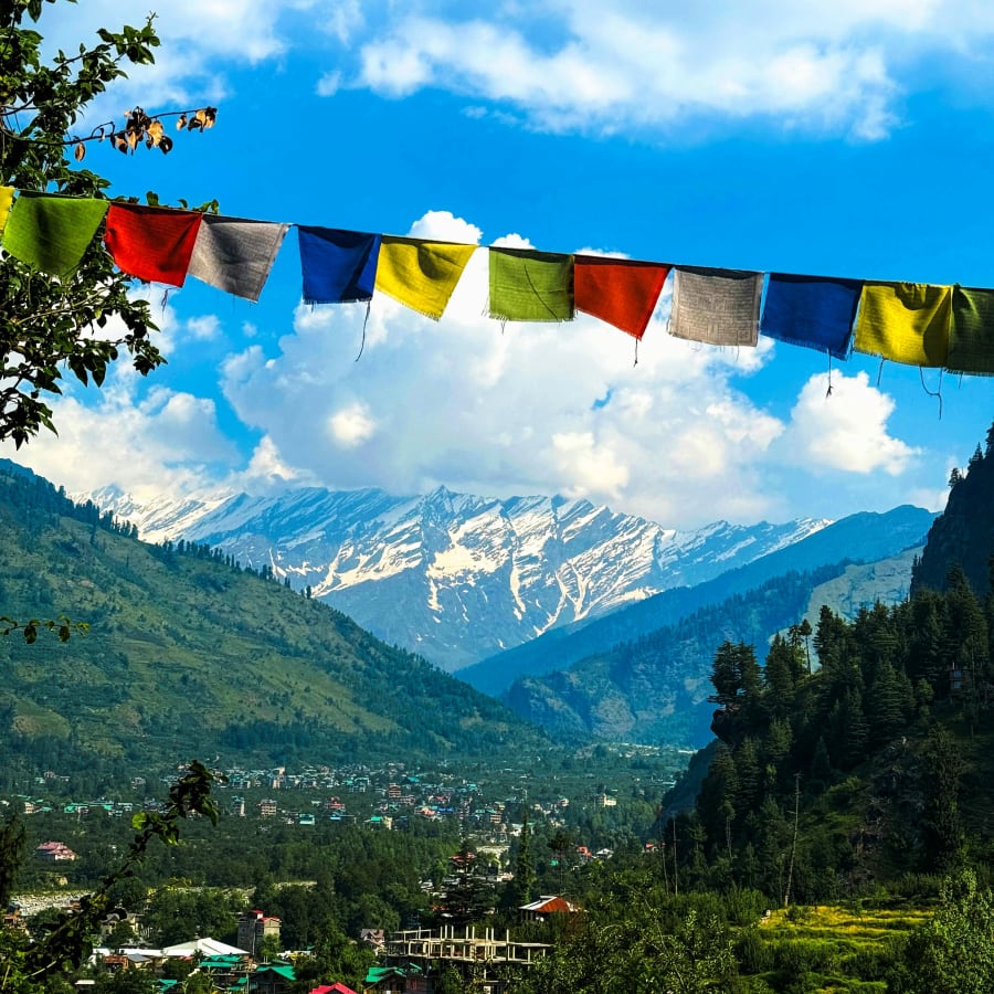 6-Hour Dharamshala and McLeodganj Tour with Tea Plantation Visit