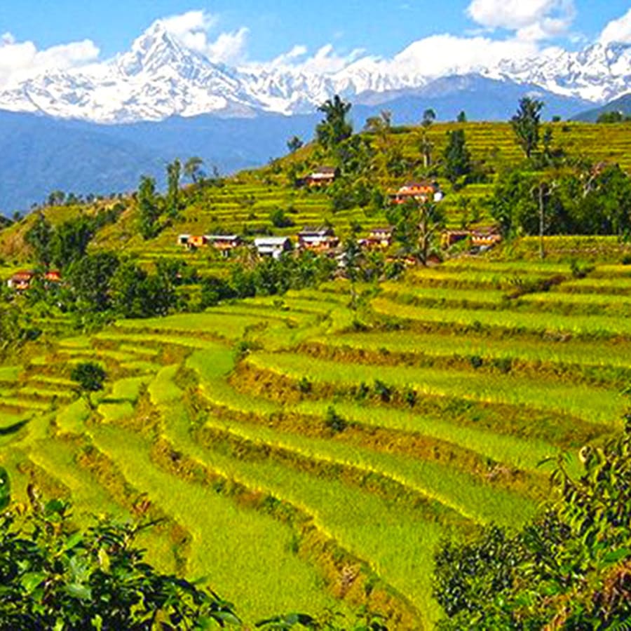 9-Day Family Royal Trek and Yoga Retreat in Nepal with Sarangkot