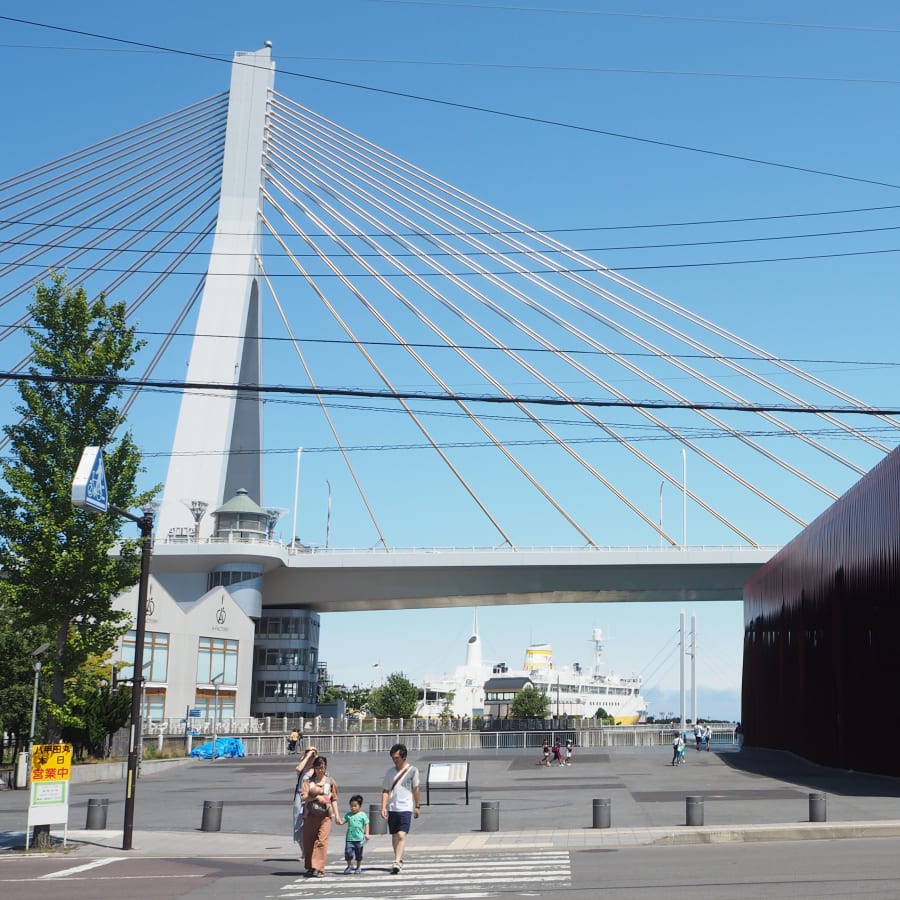 3-Hour Aomori Walking Tour with Nebuta Museum and ASPAM