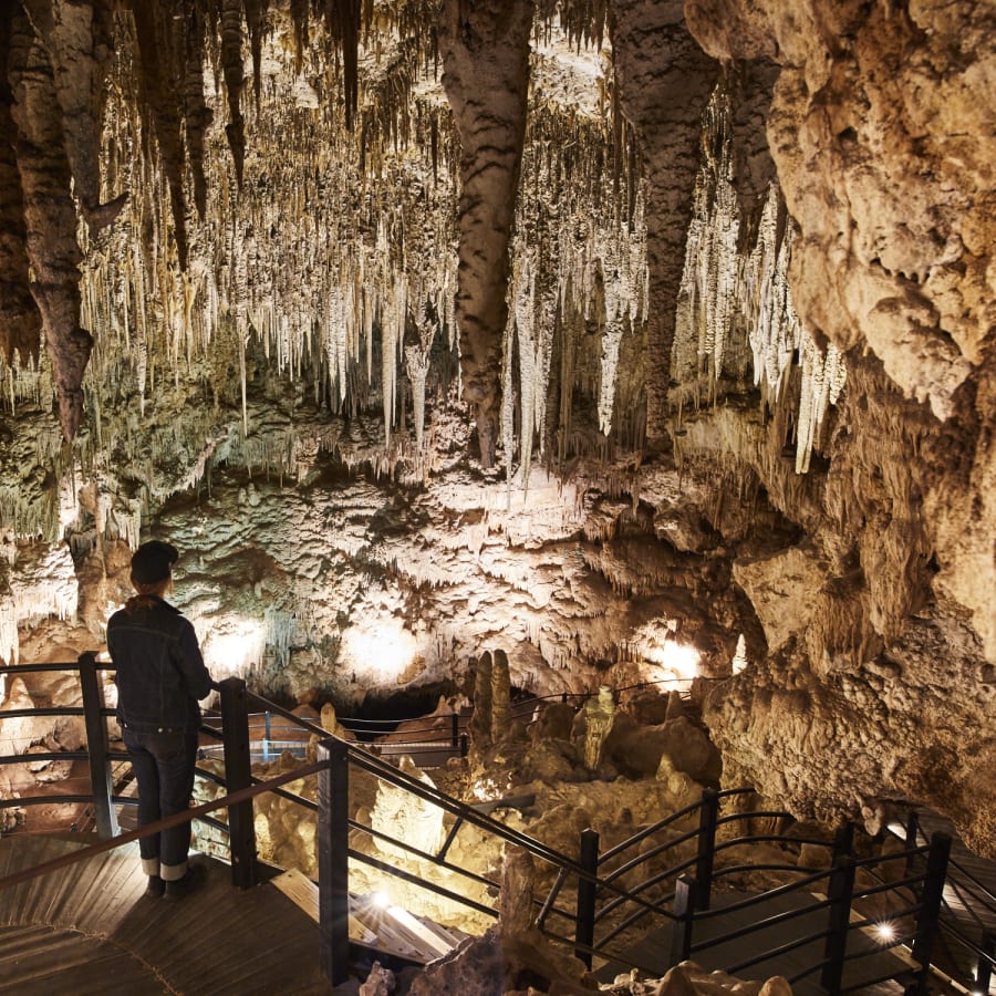 10-Hour Margaret River Wine Tour from Perth with Busselton Jetty