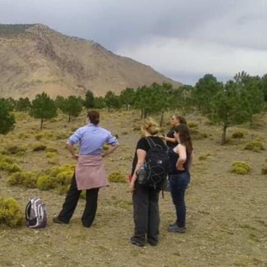 2-Day High Atlas Trek from Marrakech with Berber Guesthouse Stay