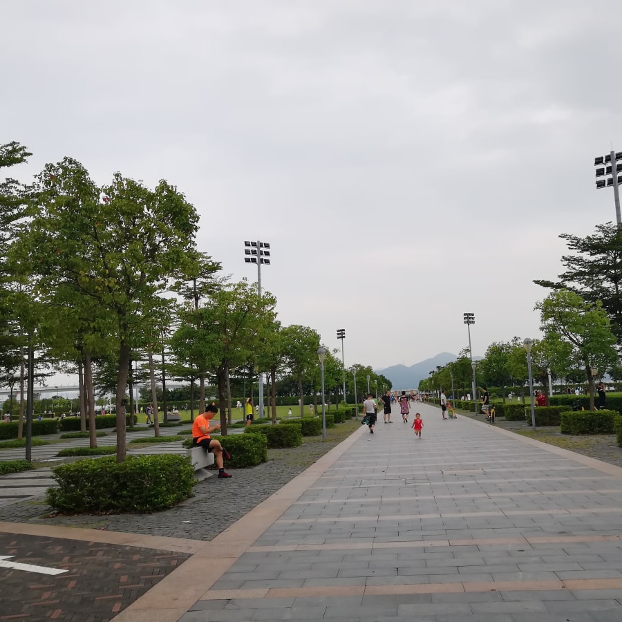 2-Hour Shenzhen Bay Beach Park Tour with Mangrove Forest Park