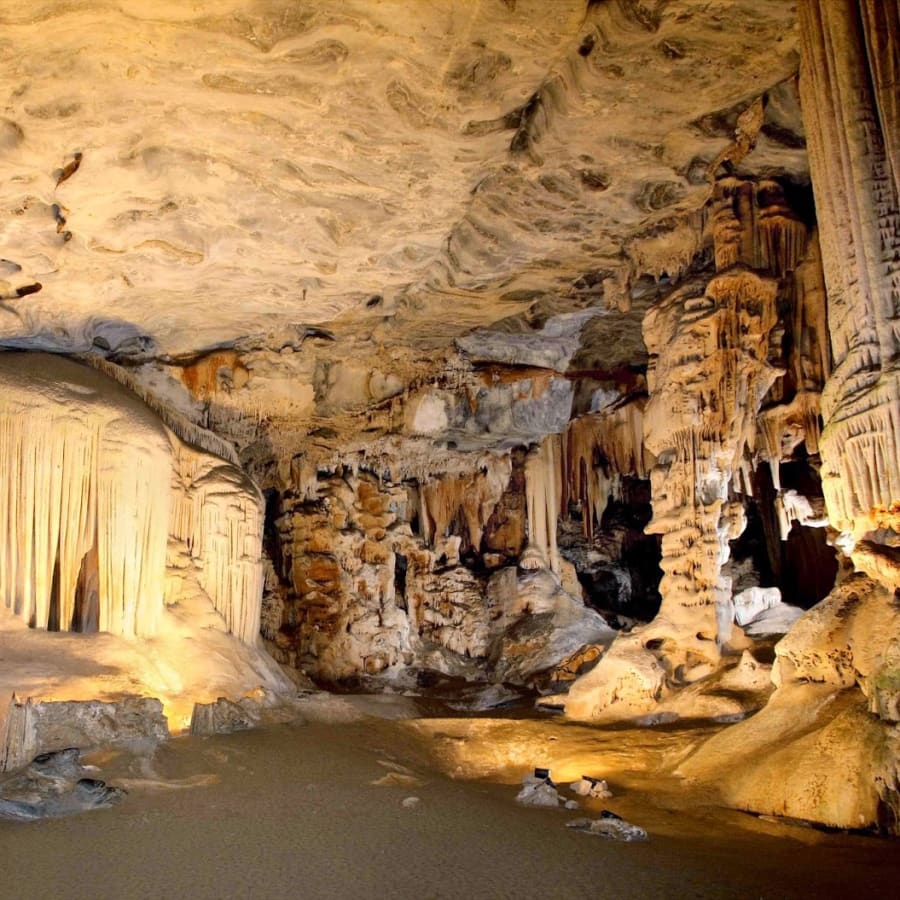 8-Hour Sterkfontein Caves Tour with the Cradle of Humankind