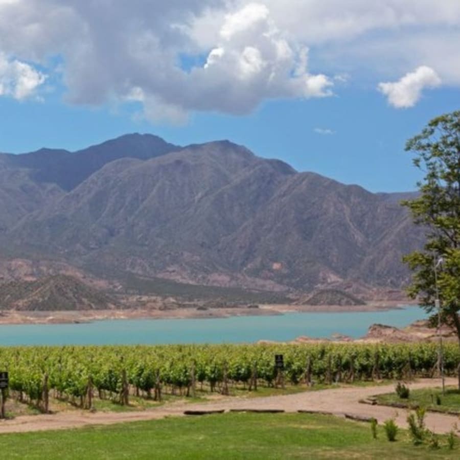 11-Day Argentina Wine and Sightseeing Tour with Salta and Mendoza