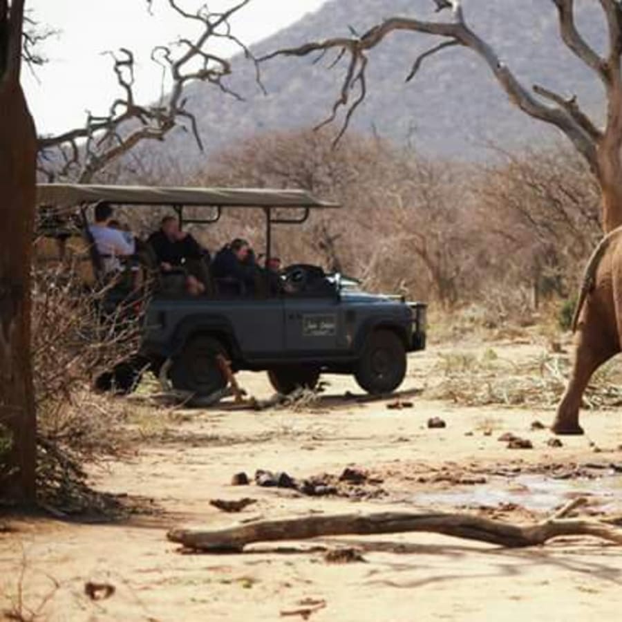 8-Hour Madikwe Game Reserve Safari with Sundown Game Drive