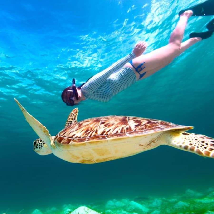 8-Hour Marsa Mubarak Snorkelling Tour with Turtles and Dugongs