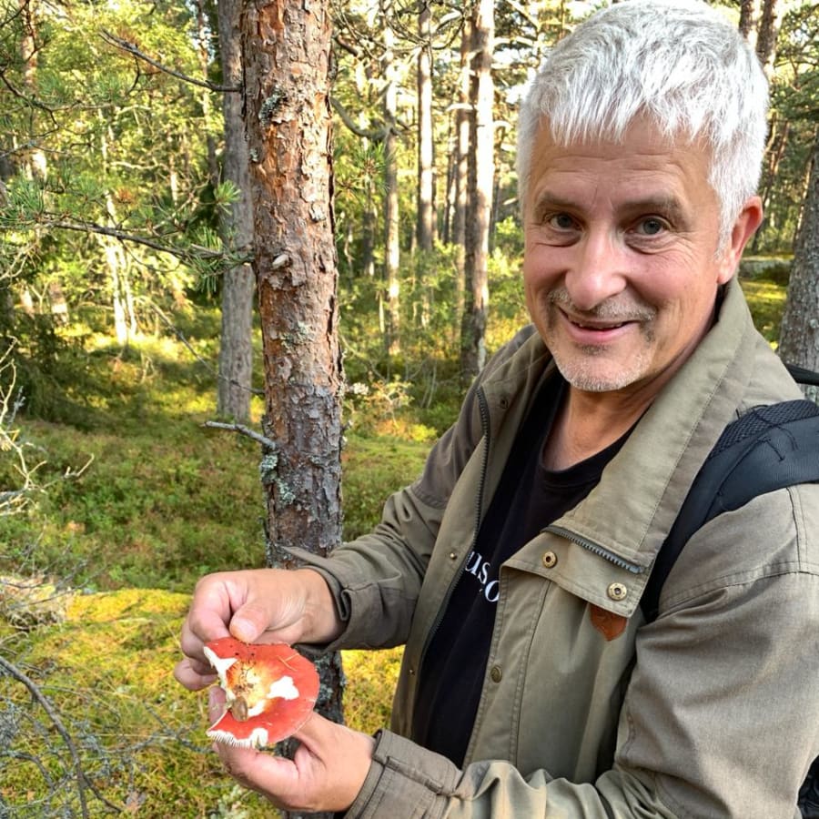 Full-Day Nuuksio National Forest Canoeing Tour from Helsinki