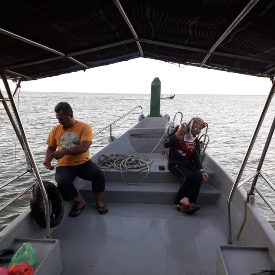 5-Hour Penang National Park Tour with Monkey Beach and Turtle Beach