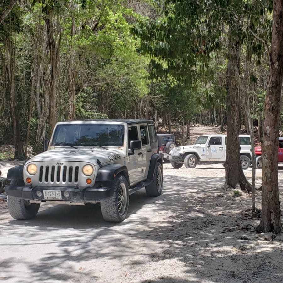 5-Hour Cozumel Jeep Safari and Snorkelling Tour with Jade Caverns