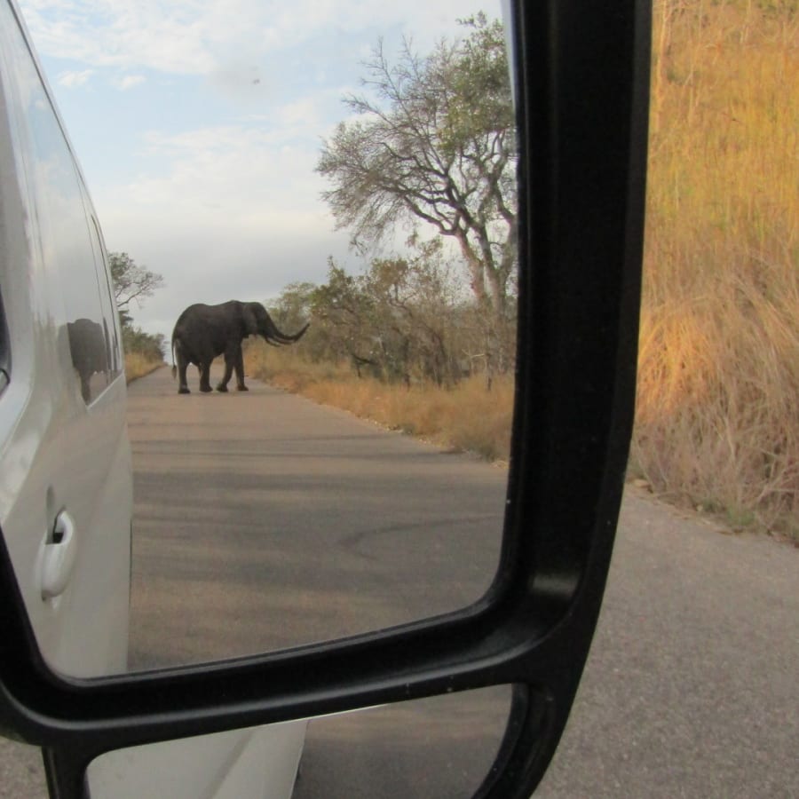 4-Day Kruger National Park Safari with Panorama Route and Glamping