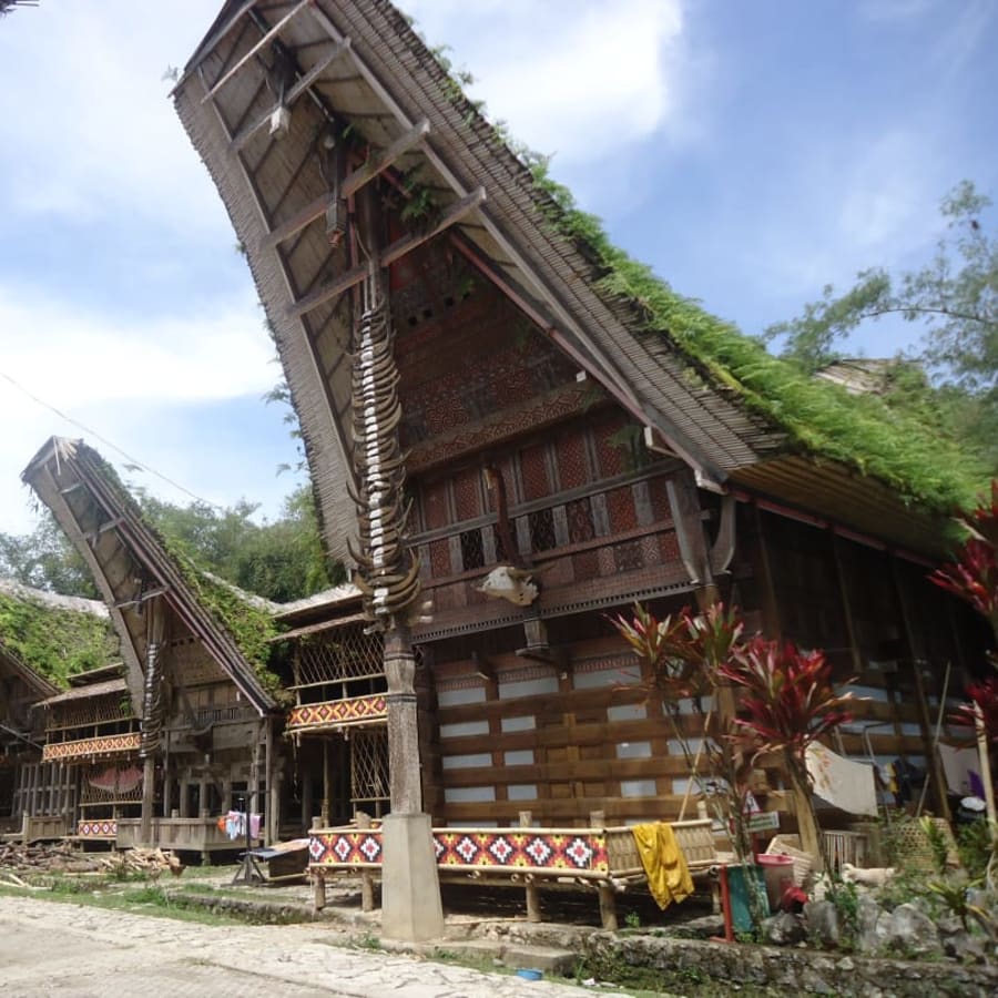 3-Day Tana Toraja Cultural Tour from Makassar with Burial Sites