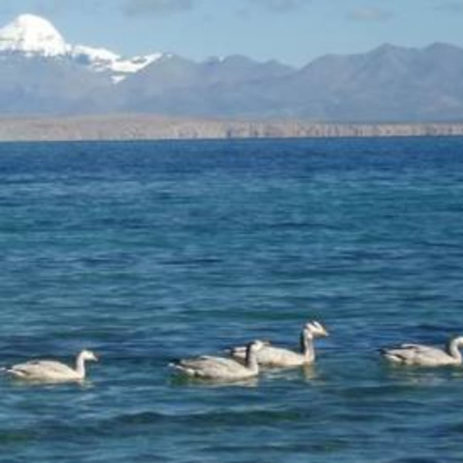13-Day Kailash Mansarovar Pilgrimage from Kathmandu via Mount Kailash