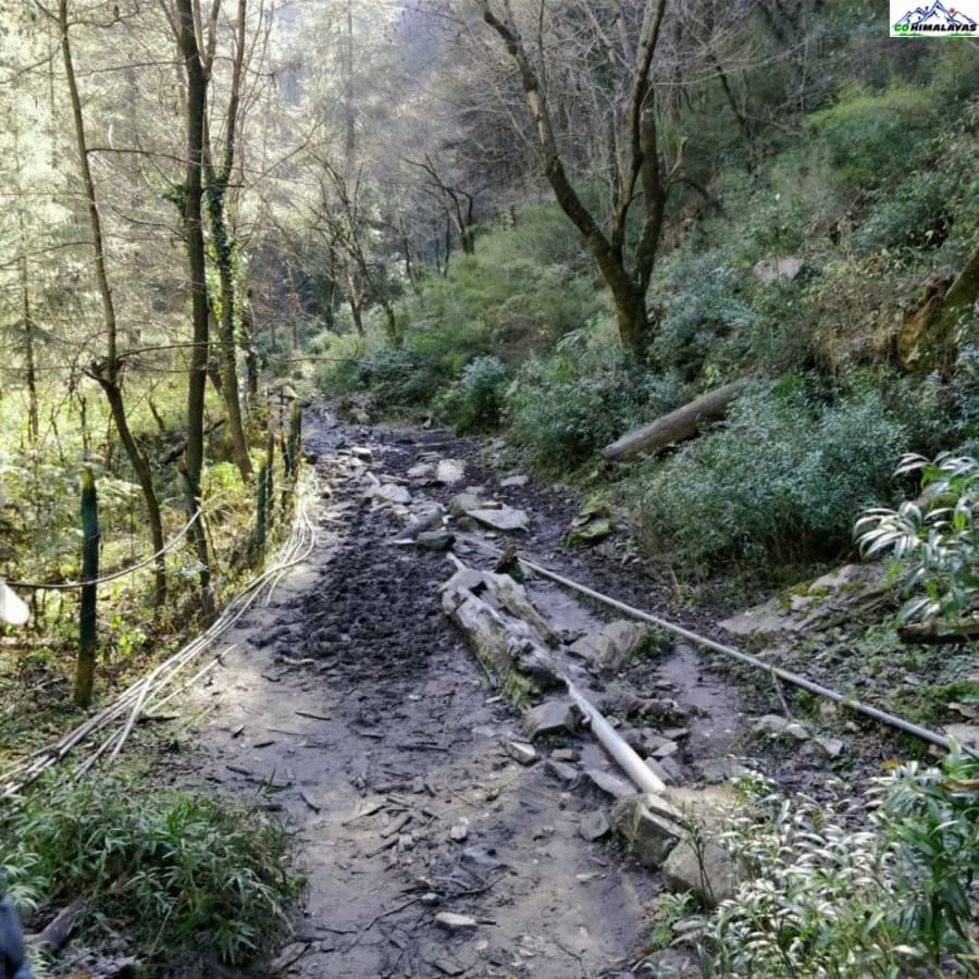 3-Day Kasol and Kheerganga Hiking Tour with Camping and Hot Springs