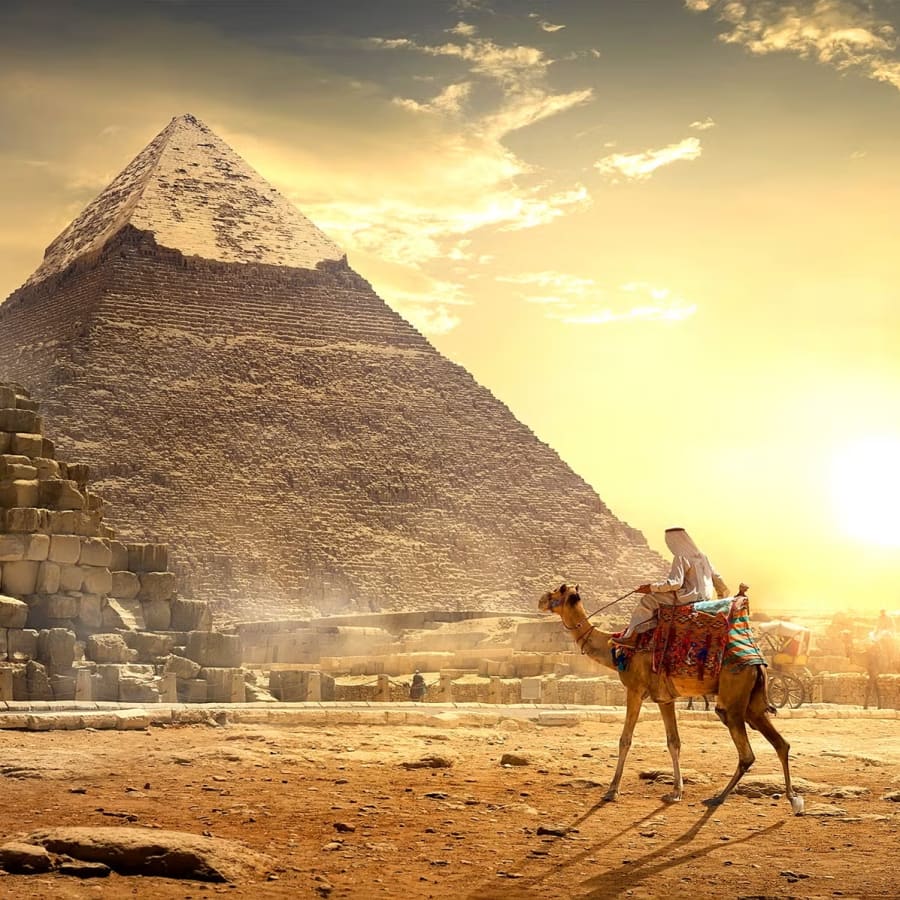 8-Hour Pyramids of Giza Tour with Saqqara and Memphis