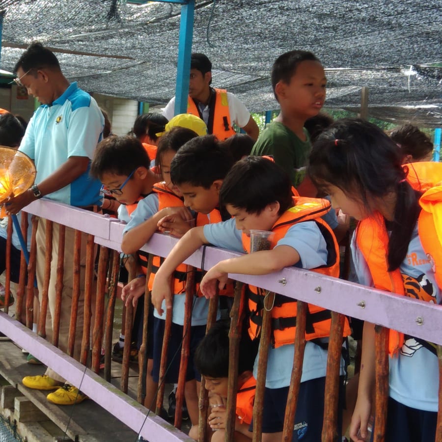 1-Day Nature Tour of Taiping and Kuala Sepetang with River Cruise