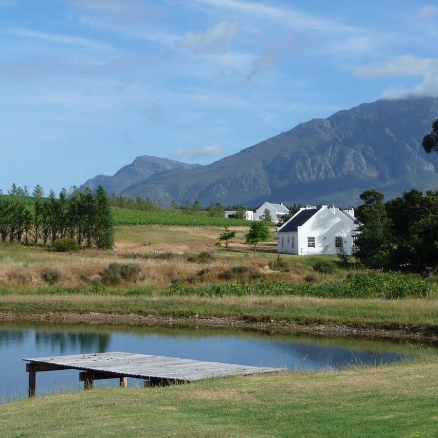 9-Hour Cape Winelands Tour with Tastings in Franschhoek and Stellenbosch