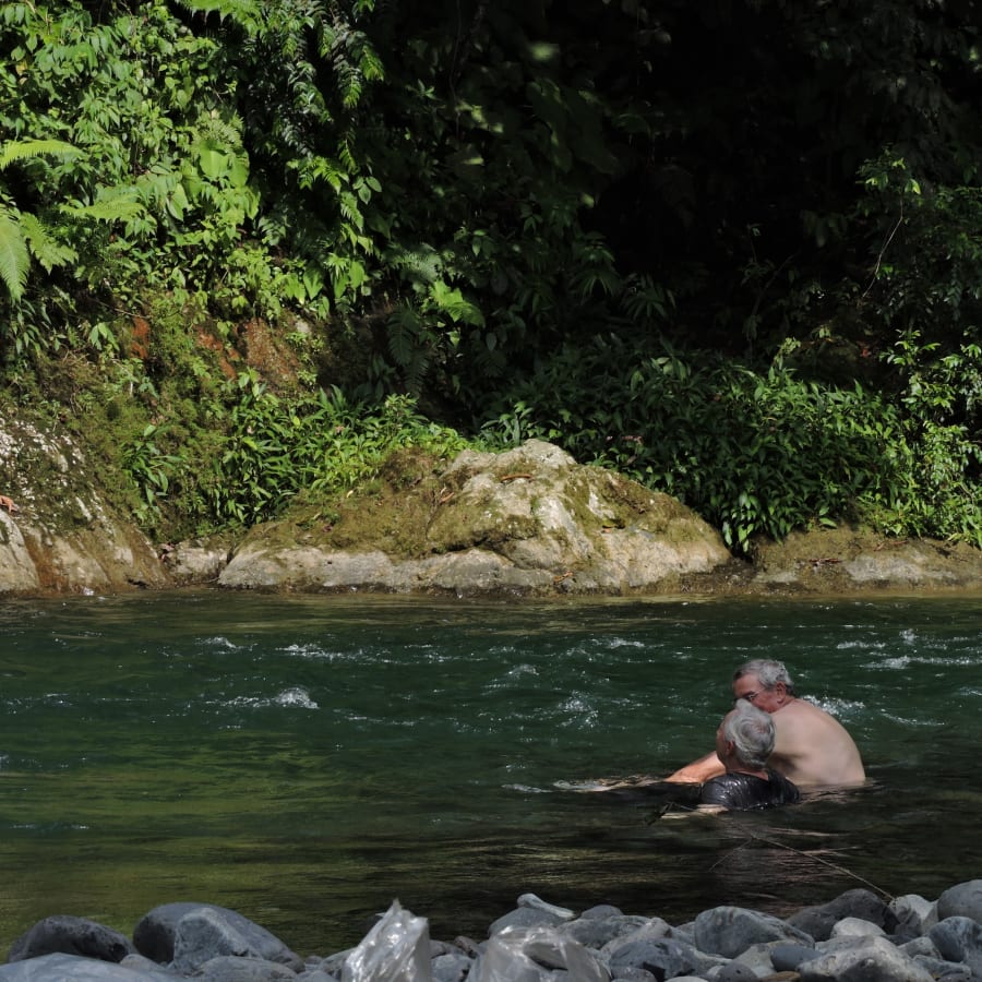 1-Day Wildlife Trek in Gunung Leuser National Park with Orangutans