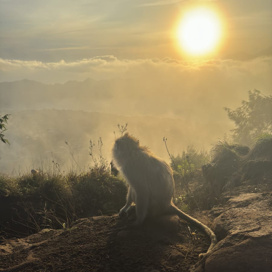 8-Hour Mount Batur Sunrise Hike in Bali with Summit Breakfast