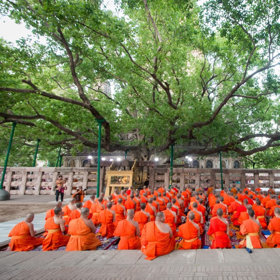 14-Day Buddhist Trail Tour from Delhi with India and Nepal
