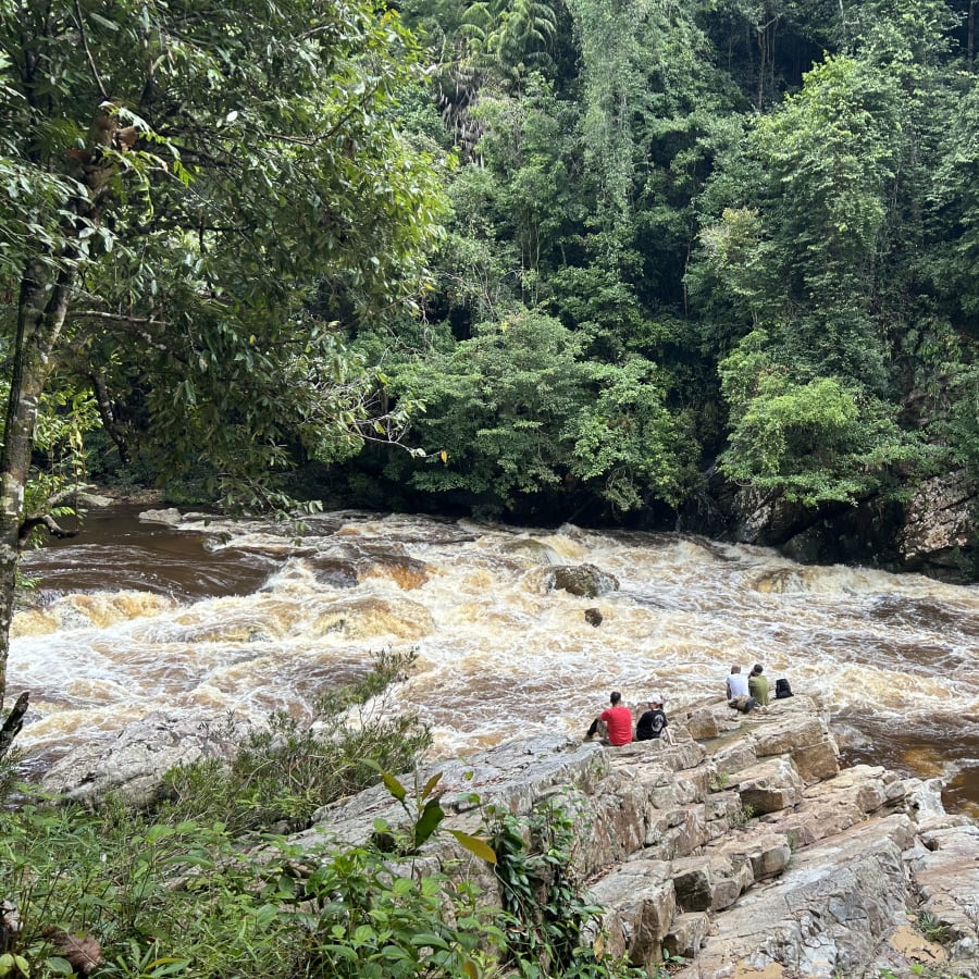 4-Day Taman Negara Jungle Tour from Kuala Tahan with Orang Asli Visit