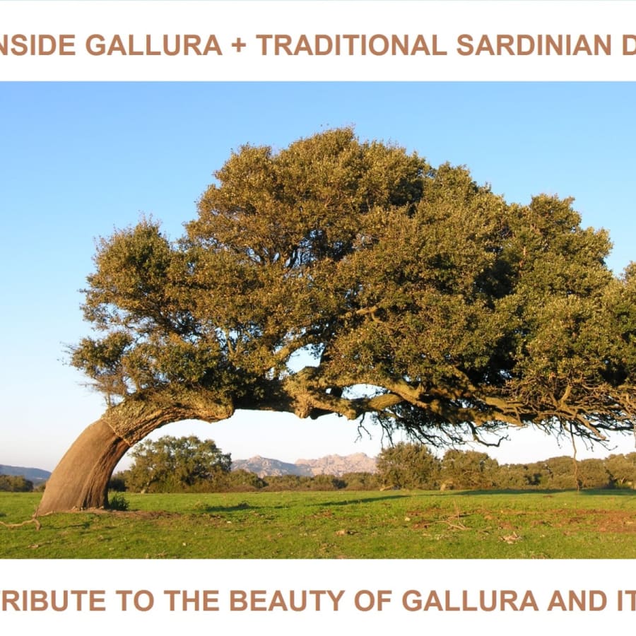 6-Hour North Sardinia Hidden Gems Tour with Farm Dinner