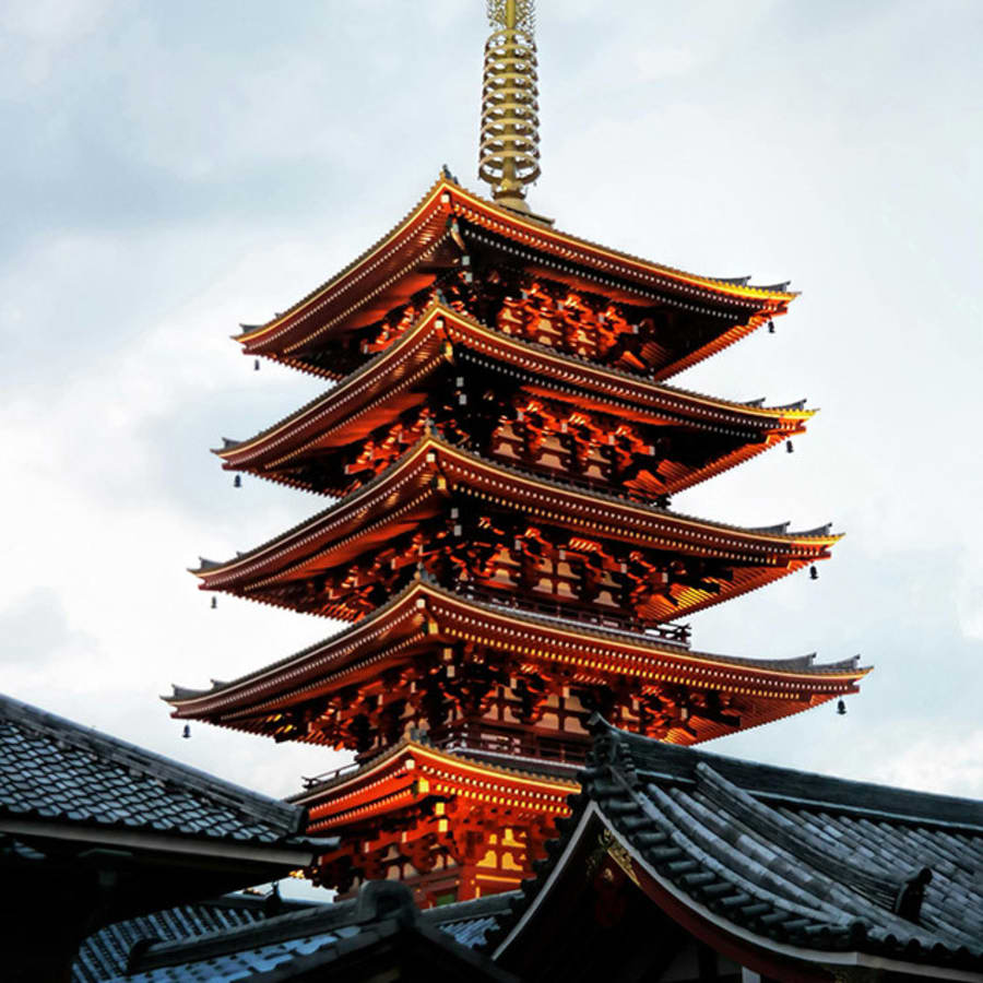 5-Day Private Japan Tour from Tokyo to Osaka with Kyoto and Mt. Fuji