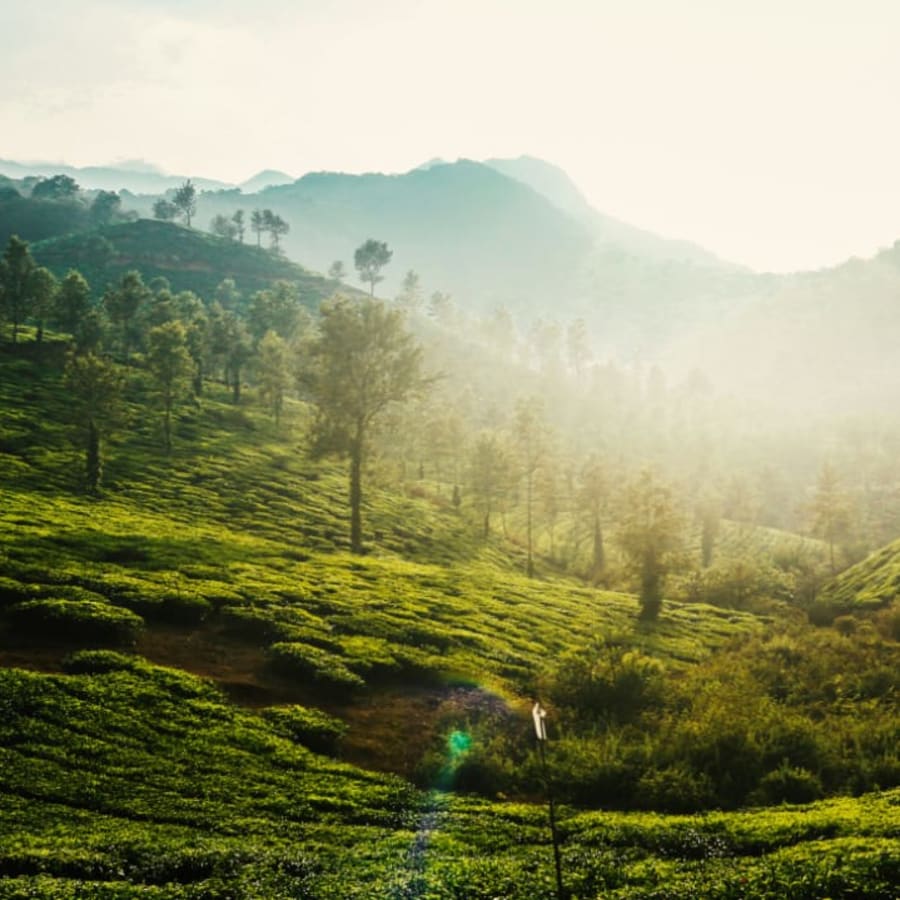 10-Day India Heritage and Wildlife Tour from Delhi to Kerala