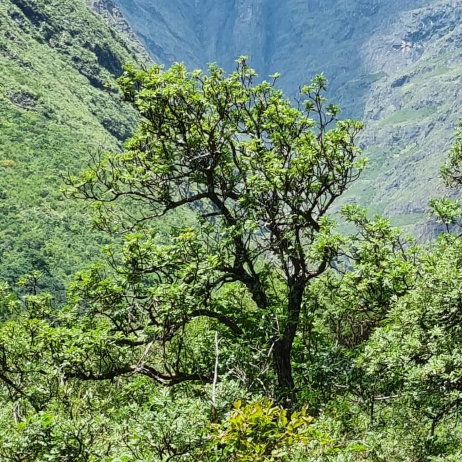3-Day Tugela Gorge Trek in Drakensberg with Thendele Stay