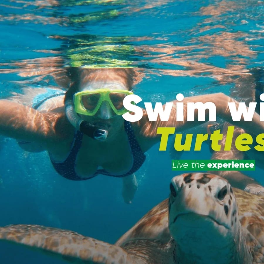 7-Hour Akumal Snorkelling Tour with Sea Turtles and Cenote Swim