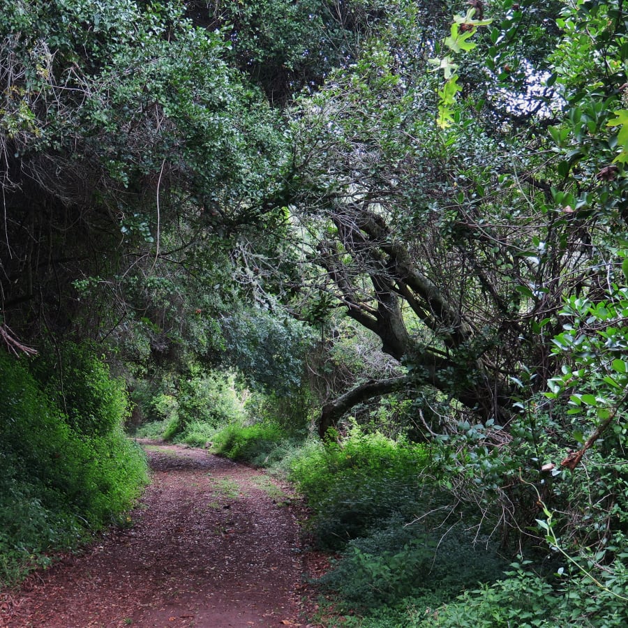 8-Hour Hike in Maitland Nature Reserve for Biodiversity and Birdlife
