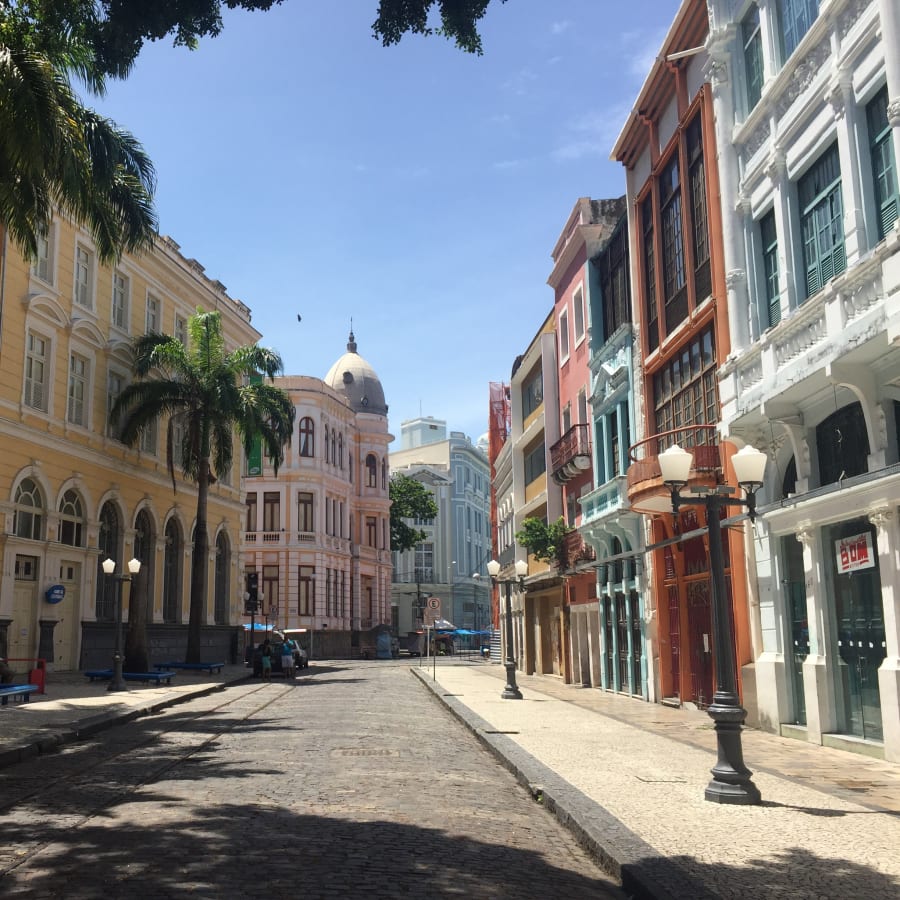 4-Hour Recife Walking Tour with Museums and Historic Harbour