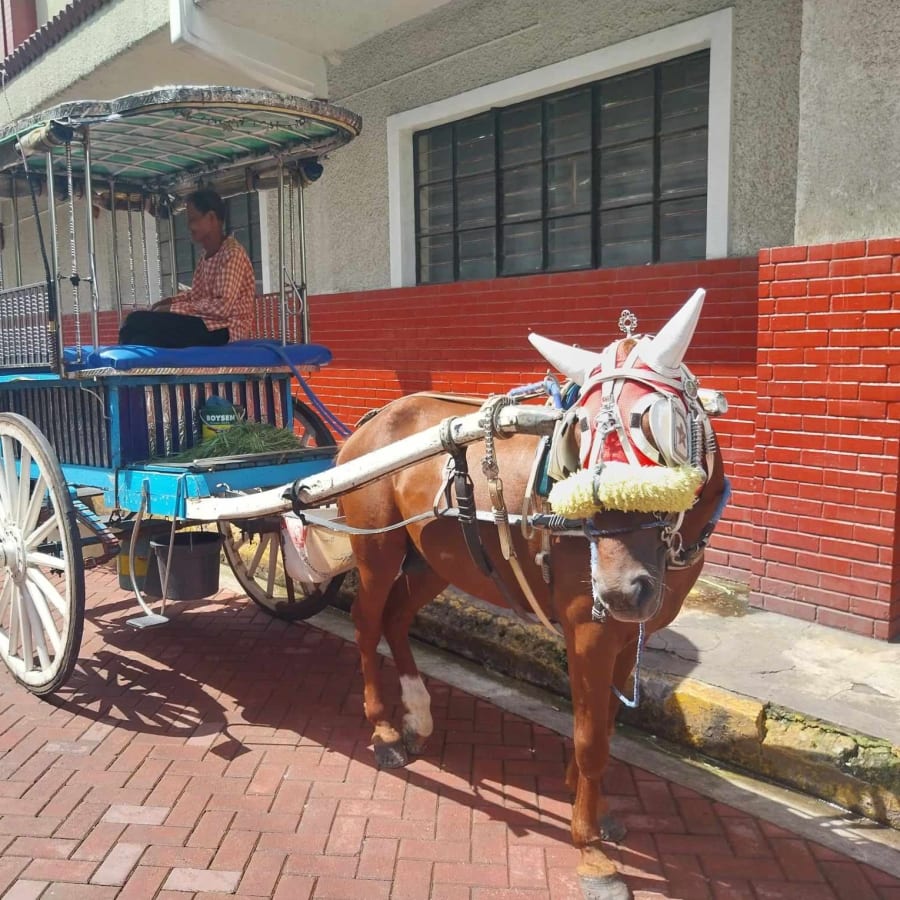 5-Hour Intramuros Heritage and Binondo Food Tour by Tuktuk