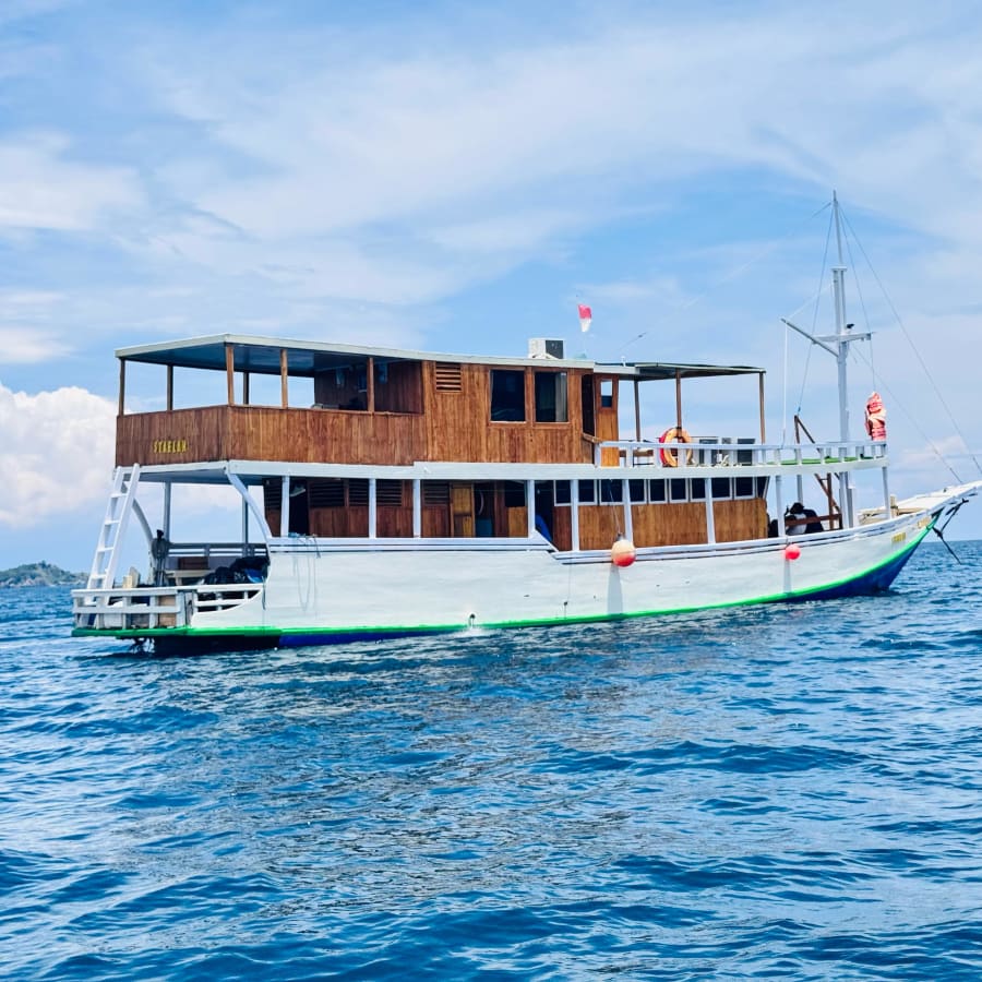 3-Day Komodo and Rinca Island Cruise with Snorkeling and Wildlife